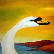 Cigne-3